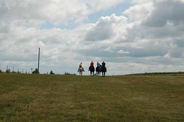 horse riding in mn